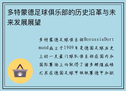 多特蒙德足球俱乐部的历史沿革与未来发展展望