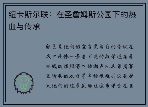 纽卡斯尔联：在圣詹姆斯公园下的热血与传承